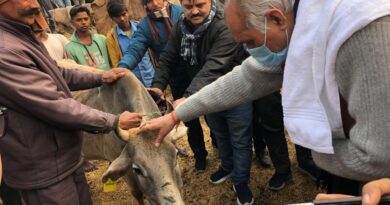 मा0 मंत्री पशुधन एवं दुग्ध विकास ने तहसील आंवला के ग्राम बिलौरी में स्थित गौशाला का किया निरीक्षण