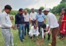 फरीदपुर विधायक प्रोफेसर श्याम बिहारी लाल द्वारा रुहेलखण्ड विश्वविद्यालय में वृक्षारोपण