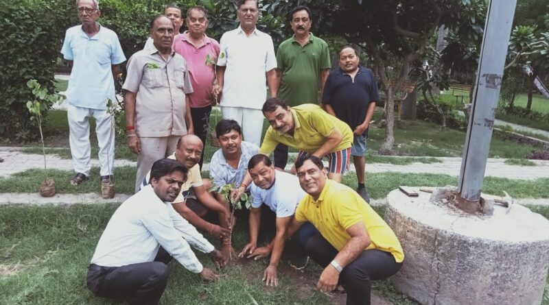 व्यापारियो ने मनाया राजनाथ सिंह का जन्मदिन वृक्षारोपण सहित अनेकों कार्यक्रम किए गए : कंछल