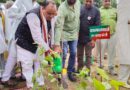 “एक पेड़ माँ के नाम 2.0” के अन्तर्गत रेलवे प्रांगण में मा0 जनप्रतिनिधियों व अधिकारियों द्वारा किया गया वृक्षारोपण