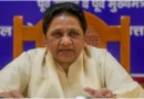 ‘दलितों के प्रति राहुल गांधी की चिंता स्वार्थ से प्रेरित है’, मायावती ने साधा निशाना