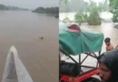 विदिशा में बारिश ने मचाया हाहाकार, बेतवा नदी में बही महिला, इधर लटेरी में ट्रैक्टर से बांधकर निकाली गई बहती कार