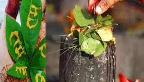 सावन महीने में बेलपत्र के विशेष उपायों से विवाह में देरी, शादी में दिक्कतें, समेत जातक के सभी कष्ट होंगे दूर