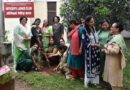 आईवीआरआई के ऑफिसर्स लेडीज क्लब द्वारा एक प्रेरणादायक वृक्षारोपण कार्यक्रम का आयोजन