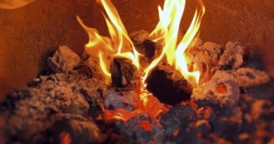 ठंड से बचने के लिए जलाई थी अंगीठी, 3 युवकों की हो गई मौत, जानिए क्या गलती की