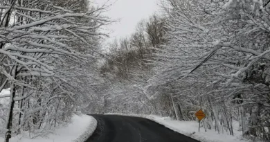 कश्मीर में बारिश-बर्फबारी से और गिरेगा पारा, कंपकंपाती ठंड का कहर जारी; गुलमर्ग में माइनस 9 डिग्री, हिमस्खलन का अलर्ट