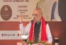 मोदी ने पेरिस से बर्लिन तक असम की चाय पहुंचाने का रास्ता खोल दिया है : अमित शाह
