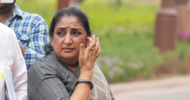 सुनेत्रा पवार बन सकती हैं महाराष्ट्र की अगली डिप्टी सीएम? अजित पवार के निधन के बाद मंत्री नरहरि जिरवाल के बयान से तेज हुई चर्चा