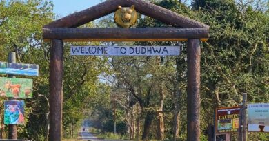 दुधवा के व्याख्या केंद्र को आधुनिक बनाने की योजना, रिसेप्शन ब्लॉक से 3-डी म्यूरल तक होंगे नए विकास कार्य