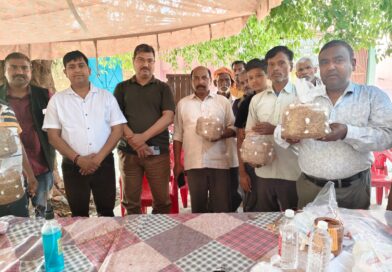 रुहेलखण्ड विश्वविद्यालय के प्लांट साइंस विभाग द्वारा भुता के गांव मियूड़ी खुर्द में किसानों को ओयस्टर मशरूम कल्टीवेशन का प्रशिक्षण दिया गया