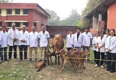 आईवीआरआई ने उन्नत सहायक प्रजनन तकनीक के माध्यम से साहीवाल नस्ल के पांच उत्कृष्ट बछडों का सफल उत्पादन किया