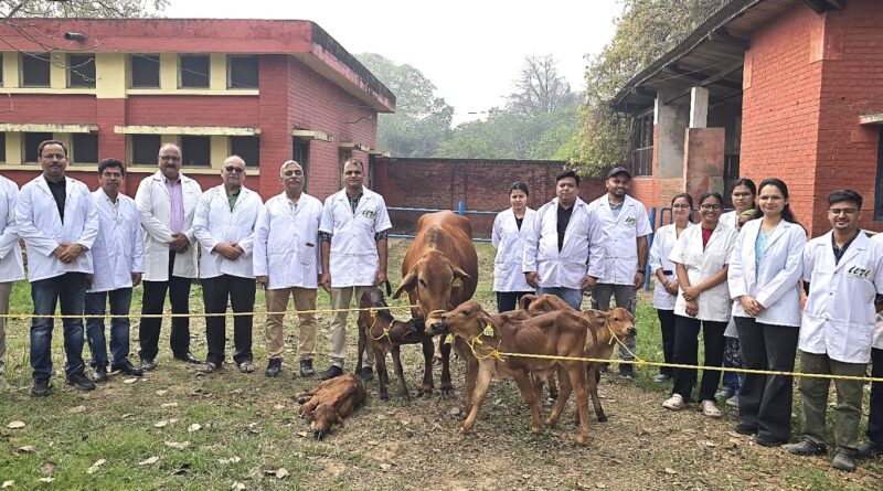 आईवीआरआई ने उन्नत सहायक प्रजनन तकनीक के माध्यम से साहीवाल नस्ल के पांच उत्कृष्ट बछडों का सफल उत्पादन किया