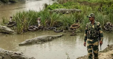 भारत बॉर्डर पर छोड़ेगा सांप-मगरमच्छ? प्लान से छूट जाएंगे इंडिया की तरफ आंख उठाने वालों के पसीने