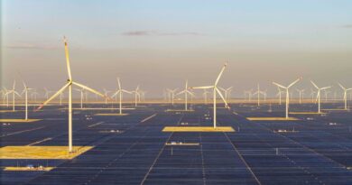 अदाणी ग्रीन एनर्जी का नया रिकॉर्ड, साल भर में पूरा किया 5 गीगावॉट का लक्ष्य