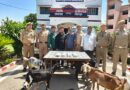 स्कॉर्पियो से बकरियां चुराने वाले अंतर्जनपदीय गिरोह का भंडाफोड़, 4 शातिर गिरफ्तार; 6 बकरियां, 2 गाड़ियां और नकदी बरामद