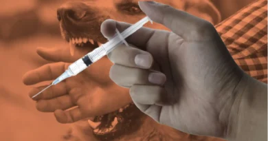 विश्व पशु चिकित्सा दिवस के अवसर पर पहले आओ पहले पाओ की तर्ज पर श्वानों को लगेंगे मुफ्त एन्टी रैबीज टीके 