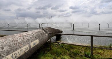 इंडियन पॉइंट न्यूक्लियर प्लांट पर 60 वर्षों तक हडसन नदी में रेडियोधर्मी पानी छोड़ने का आरोप, करोड़ों मछलियों की मौत