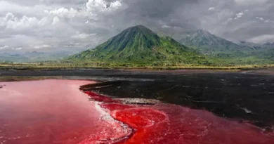 गर्म, खारा और क्षारीय…तंजानिया का रहस्यमयी झील, जहां ‘लाल पानी’ का दिखता है खतरनाक रूप