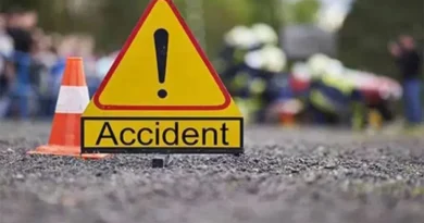 बाराबंकी में दर्दनाक हादसा, चलते ट्रैक्टर-ट्रॉली पर गिरा विशाल पेड़, दो लोगों की मौके पर मौत