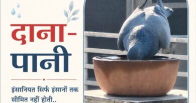 बेज़ुबानों को पिला रहे पानी इंसानियत सिर्फ इंसानों तक सीमित नहीं होती.. इस बात की मिसाल है पहल ‘दाना-पानी’