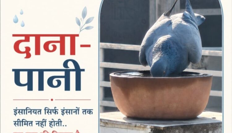 बेज़ुबानों को पिला रहे पानी इंसानियत सिर्फ इंसानों तक सीमित नहीं होती.. इस बात की मिसाल है पहल ‘दाना-पानी’