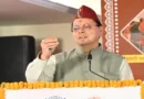 ‘सालों पहले लॉन्चिंग-रिलॉन्चिंग के बाद भी नहीं हुए लॉन्च’, CM Dhami ने राहुल गांधी पर कसा तंज