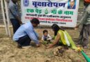 विश्व पर्यावरण दिवस पर बीबीएयू में गूंजा प्रकृति संरक्षण का संदेश, ‘एक पेड़ मां के नाम’ अभियान में लगाए गए 300 पौधे