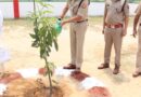 विश्व पर्यावरण दिवस पर गोण्डा पुलिस का हरित संदेश! एसपी विनीत जायसवाल ने किया वृक्षारोपण, ‘एक पेड़ मां के नाम’ अभियान को दिया बढ़ावा