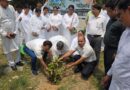 विश्व पर्यावरण दिवस के अवसर पर परिवहन विभाग ने चलाया पौधरोपण अभियान