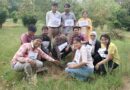 अंतर्राष्ट्रीय पर्यावरण दिवस के अवसर पर रुहेलखण्ड विश्वविद्यालय के बोटैनिकल गार्डन में वृक्षारोपण