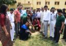 बीबीएयू में चला हरित अभियान, शिक्षकों-छात्राओं और रोटरी क्लब ने मिलकर किया पौधरोपण