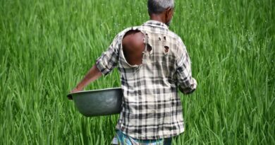 PM किसान पर बड़ा अपडेट! अब जमीन जिसके नाम, उसी किसान को मिलेगा पैसा; बिहार के 32 लाख से ज्यादा किसानों पर मंडराया लाभ से बाहर होने का खतरा