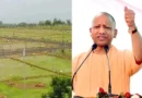 लखनऊ में अपना प्लॉट लेने का सुनहरा मौका, 6 हजार भूखंडों की बुकिंग होगी शुरू; सीएम योगी करेंगे दो योजनाओं का शुभारंभ