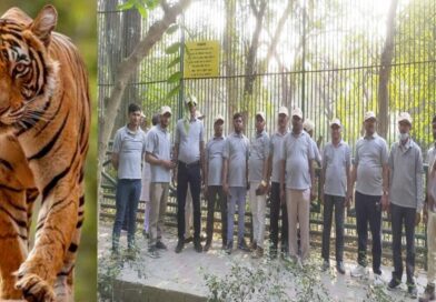 पीलीभीत में बाघ मित्रों के लिए बड़ा ऐलान, 140 वन्यजीव प्रहरियों का सम्मान; बीमा से रोजगार तक कई सौगात