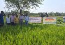 इफको द्वारा नैनो उर्वरकों के पर्णीय छिड़काव पर प्रशिक्षण संपन्न
